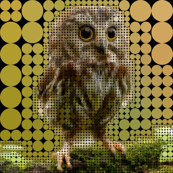The same owl photograph rebuilt from circles on a black background, finer where there is more detail